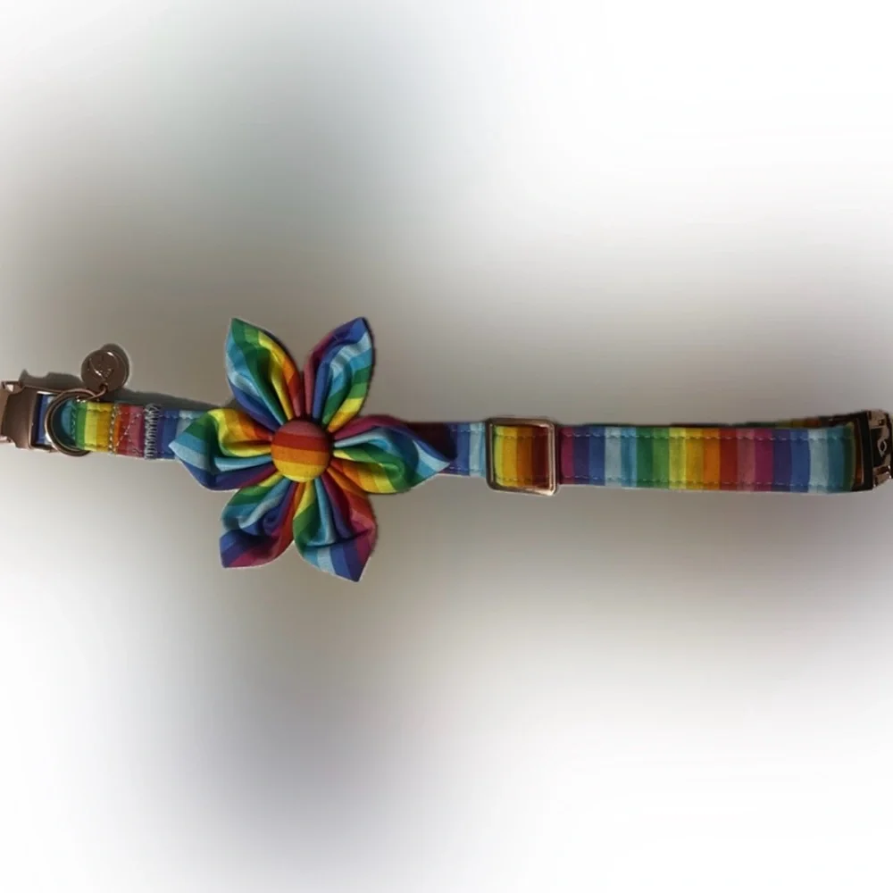 🔴New Dog Collar Rainbow Removable Flower Adjustable 10” to 16” Pet Animal
